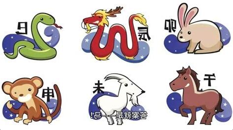 1978 年 生肖